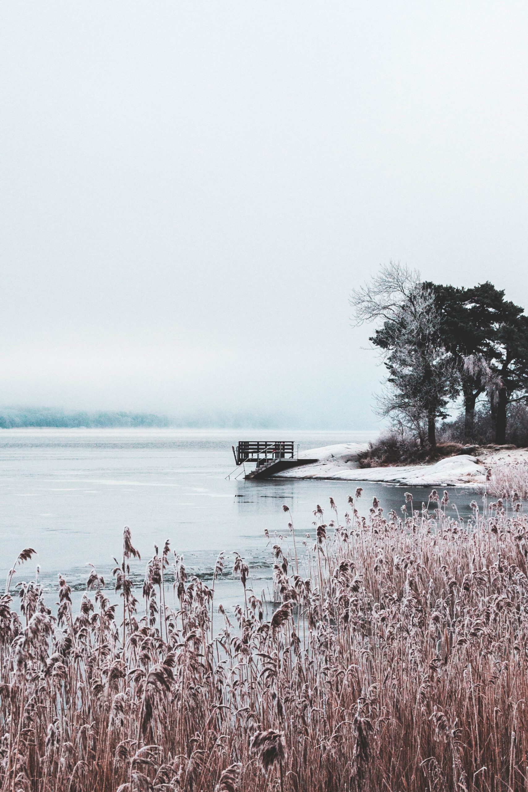karl-hedin-PzC1eOWnIv8-unsplash