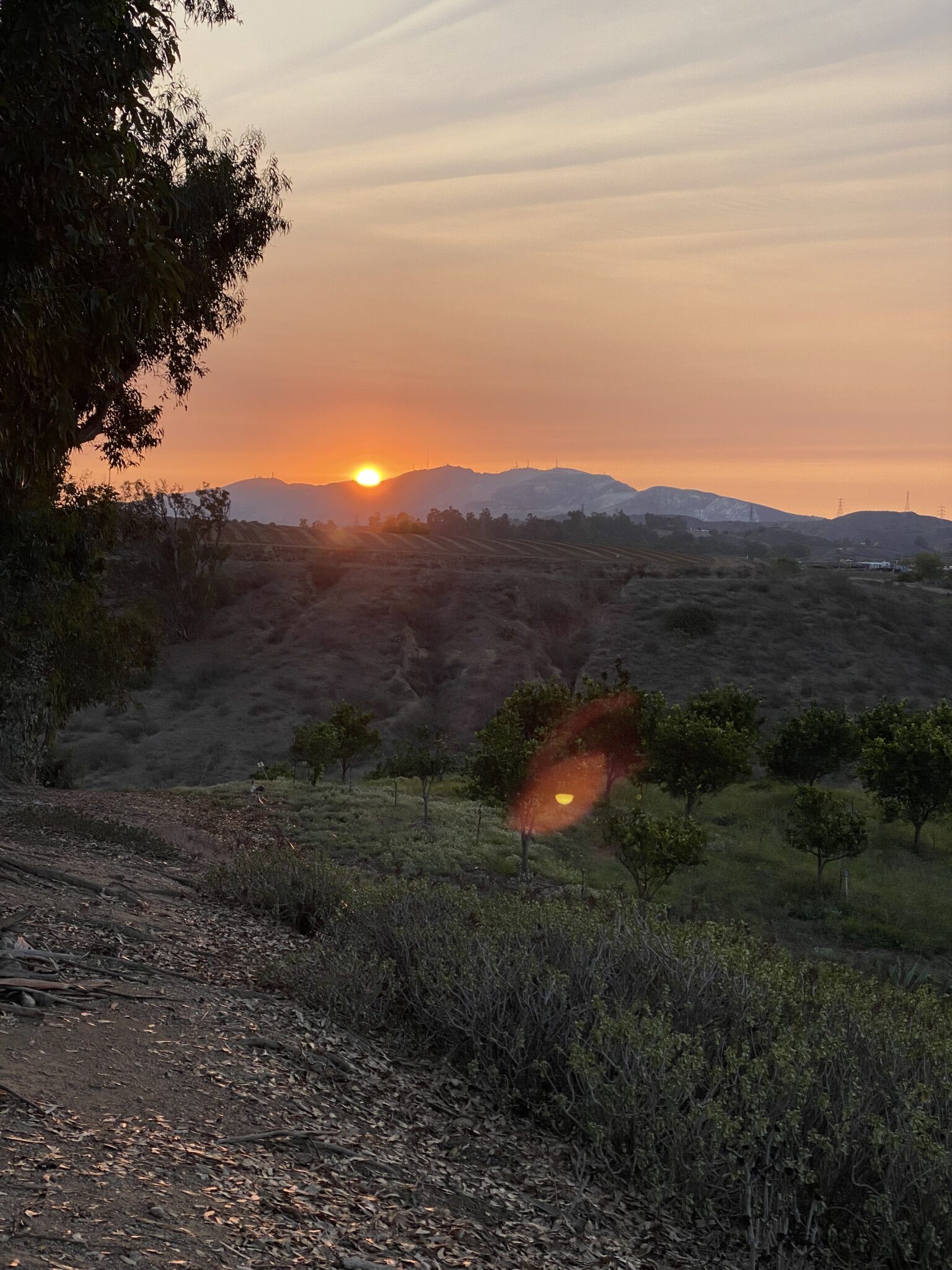 Sunset over a hilly landscape with scattered trees, orange sky, and a dirt path in the foreground.