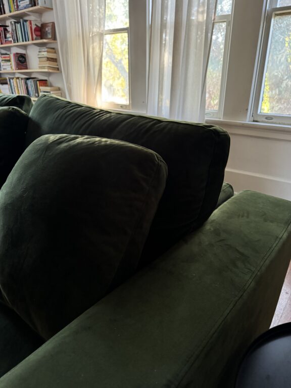 A green velvet couch sits in front of sunlit windows with sheer curtains; bookshelves filled with books are visible in the background.