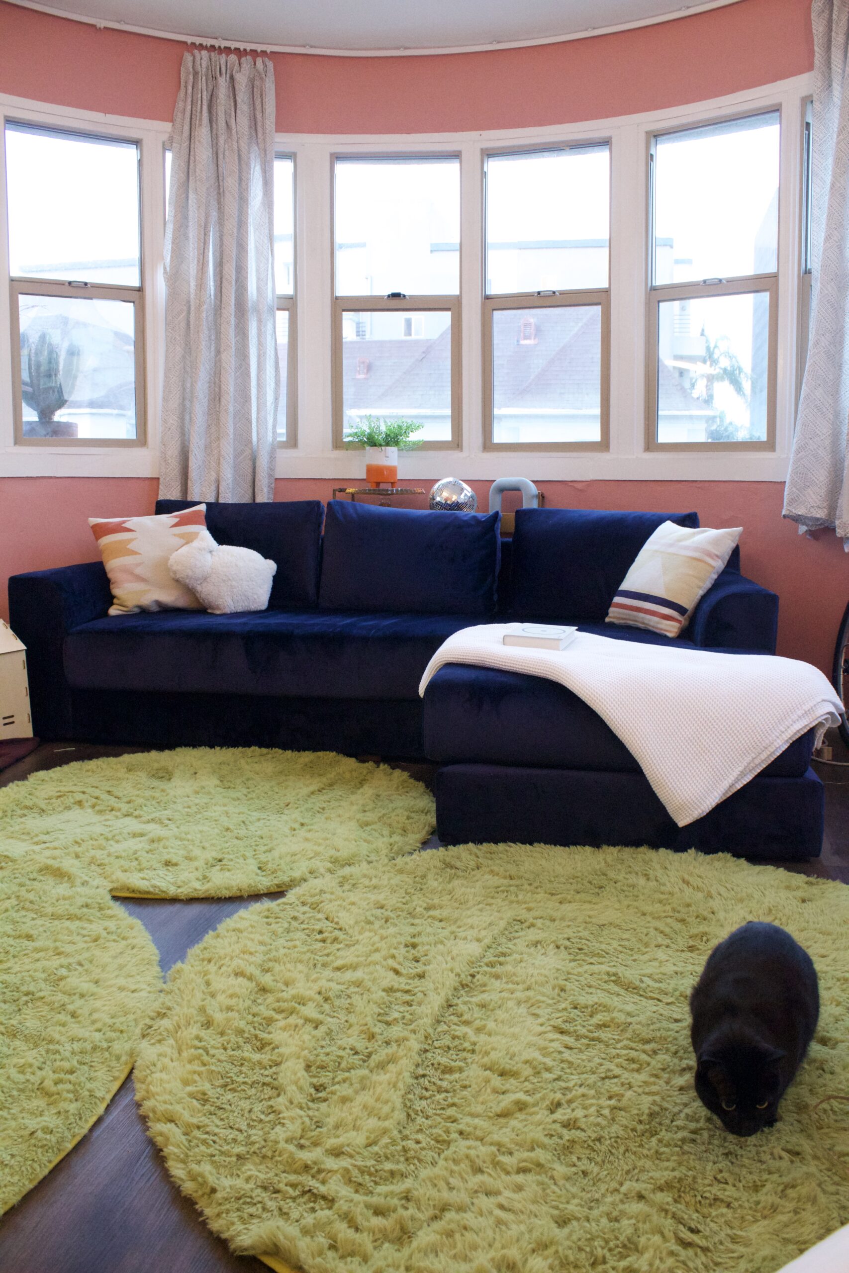 A black cat sits on a green rug in front of a blue sectional sofa with pillows in a living room featuring pink walls and large windows.
