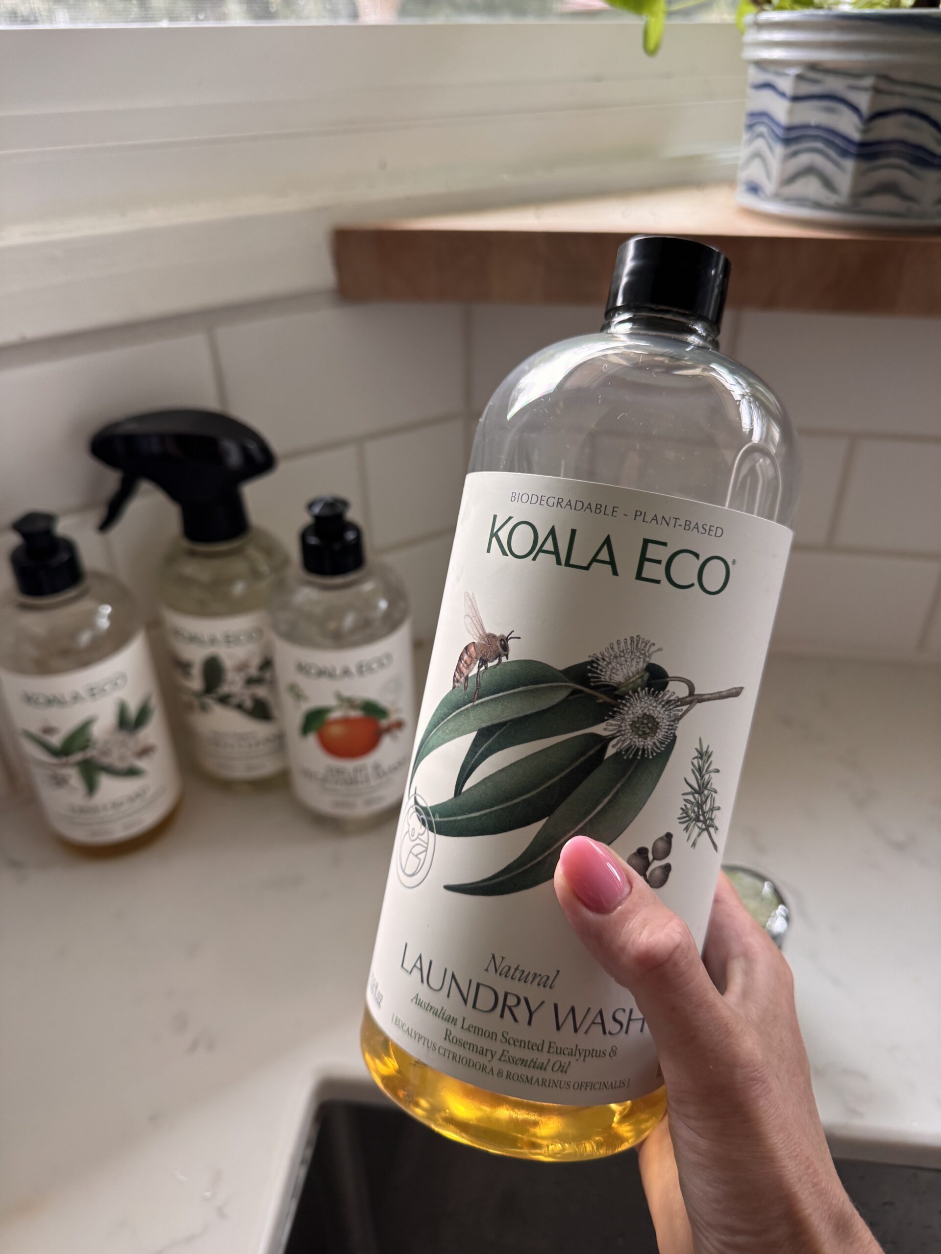 A hand holds a bottle of Koala Eco Natural Laundry Wash above a kitchen sink, with two other Koala Eco bottles and a potted plant in the background.